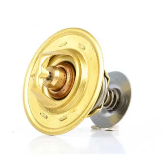 Thermostat d'eau BSG BSG 30-125-005