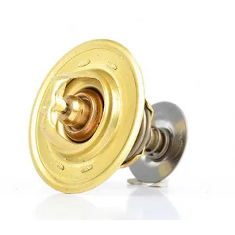 Thermostat d'eau BSG BSG 30-125-006