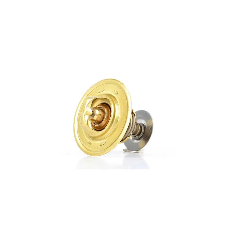 Thermostat d'eau BSG BSG 30-125-006