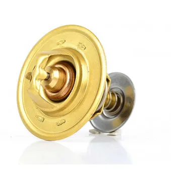 Thermostat d'eau BSG BSG 30-125-007