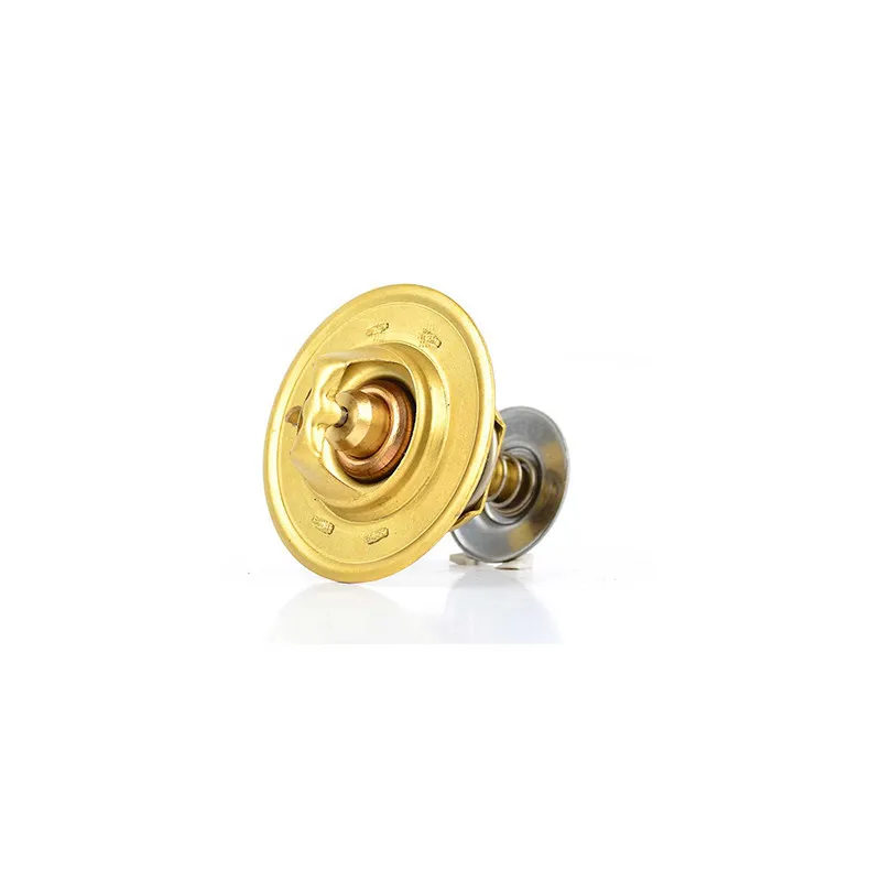 Thermostat d'eau BSG BSG 30-125-007