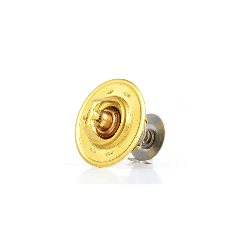 Thermostat d'eau BSG BSG 30-125-008
