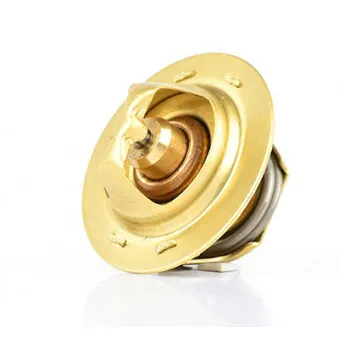 Thermostat d'eau BSG BSG 30-125-012