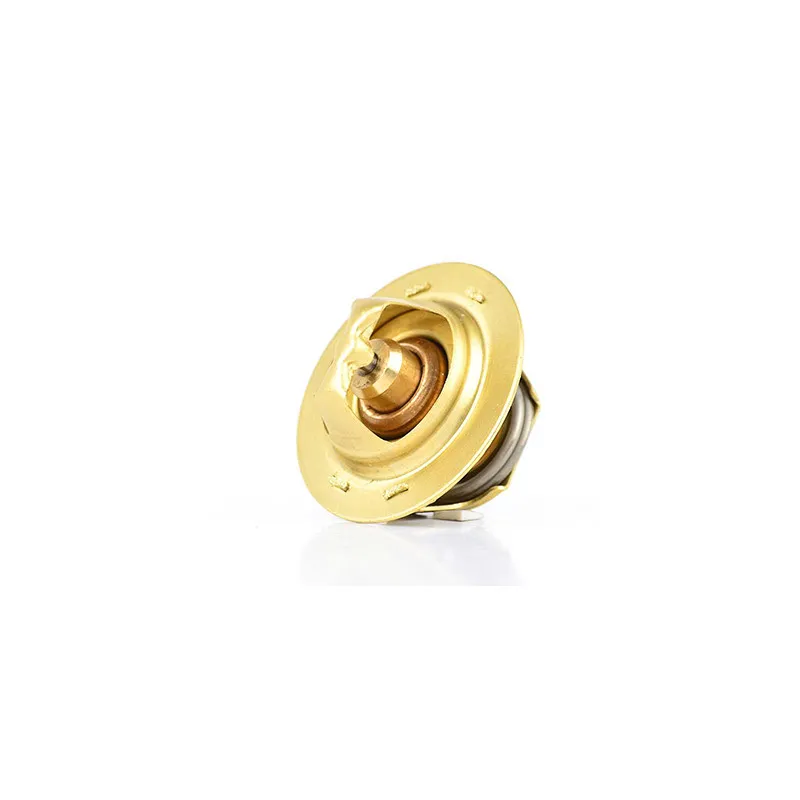Thermostat d'eau BSG BSG 30-125-012