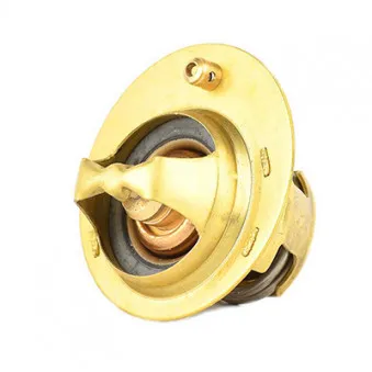 Thermostat d'eau BSG BSG 30-125-018