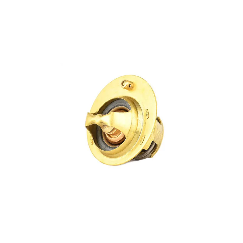 Thermostat d'eau BSG BSG 30-125-018