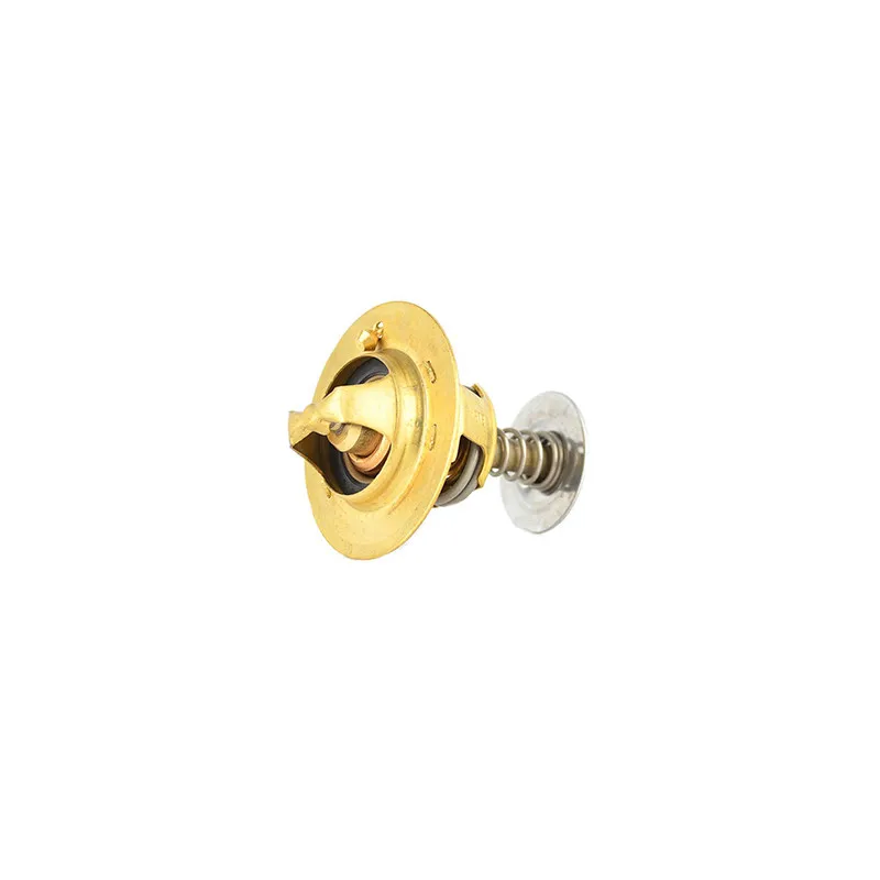 Thermostat d'eau BSG BSG 30-125-019