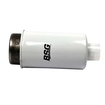 Filtre à carburant BSG BSG 30-130-010