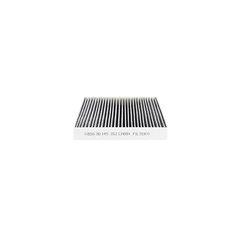 Filtre, air de l'habitacle BSG BSG 30-145-012