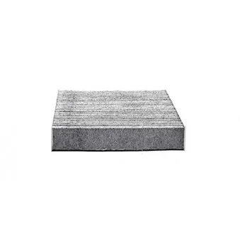 Filtre, air de l'habitacle BSG BSG 30-145-013