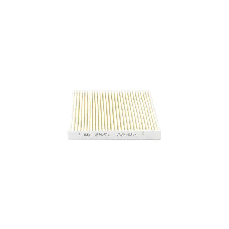 Filtre, air de l'habitacle BSG BSG 30-145-018