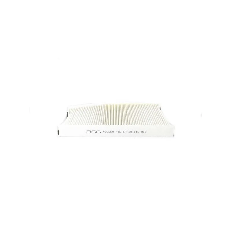 Filtre, air de l'habitacle BSG BSG 30-145-019