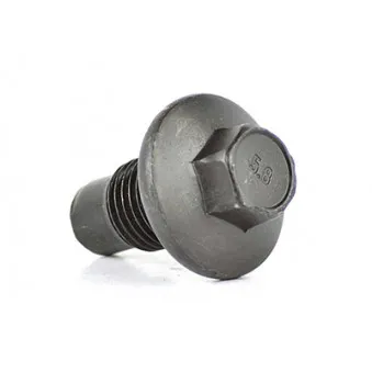 Vis-bouchon, carter d'huile BSG BSG 30-230-035
