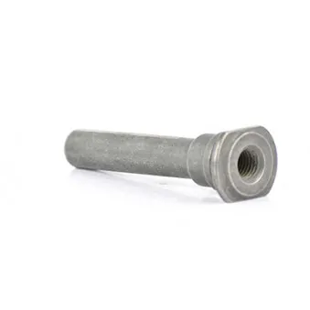 Boulon de guidage, étrier de frein BSG BSG 30-251-007