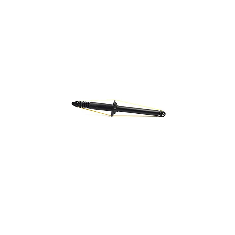 Jeu de 2 amortisseurs arrière BSG BSG 30-300-024
