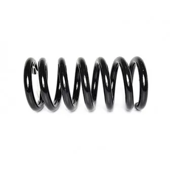 Ressort de suspension BSG BSG 30-305-001