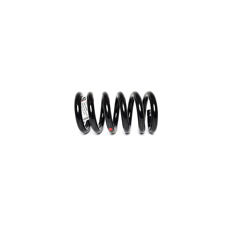 Ressort de suspension BSG BSG 30-305-002