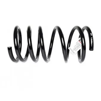 Ressort de suspension BSG BSG 30-305-004