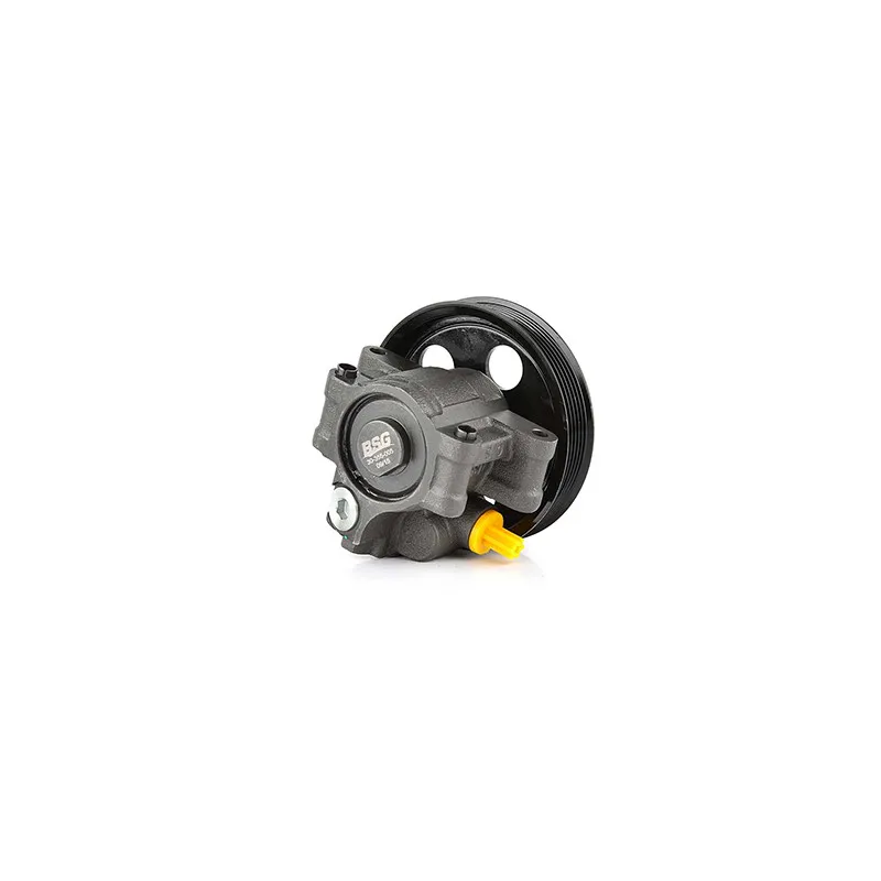 Pompe hydraulique, direction BSG BSG 30-355-005