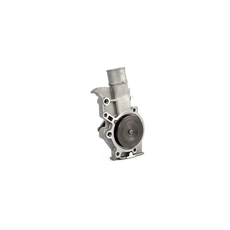 Pompe à eau BSG BSG 30-500-005