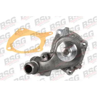 Pompe à eau BSG BSG 30-500-017