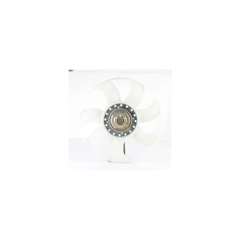Ventilateur, refroidissement du moteur BSG BSG 30-505-010