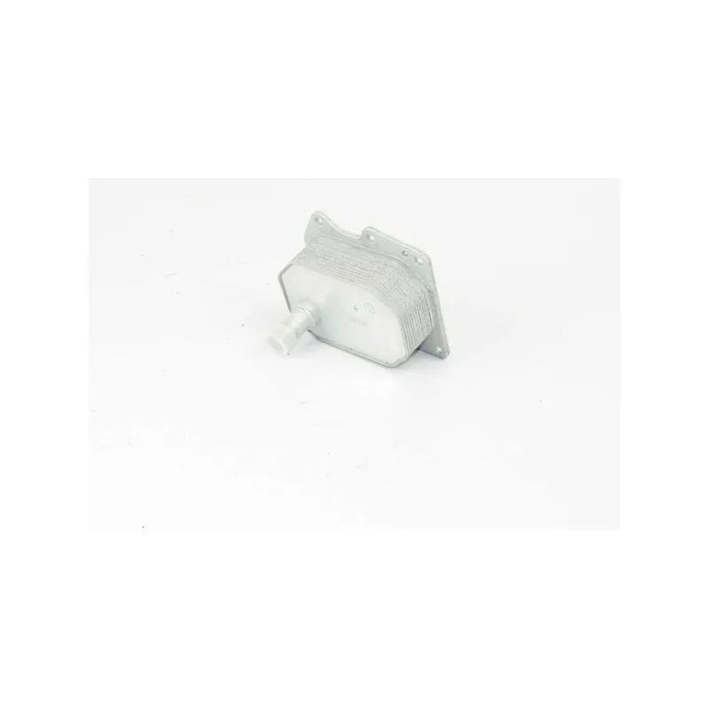 Radiateur d'huile BSG BSG 30-506-004