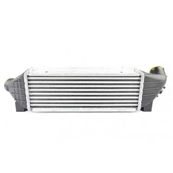 Intercooler, échangeur BSG BSG 30-535-001