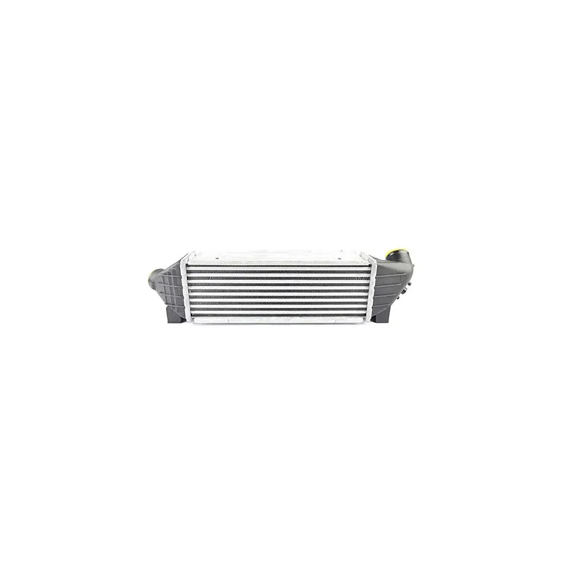 Intercooler, échangeur BSG BSG 30-535-001