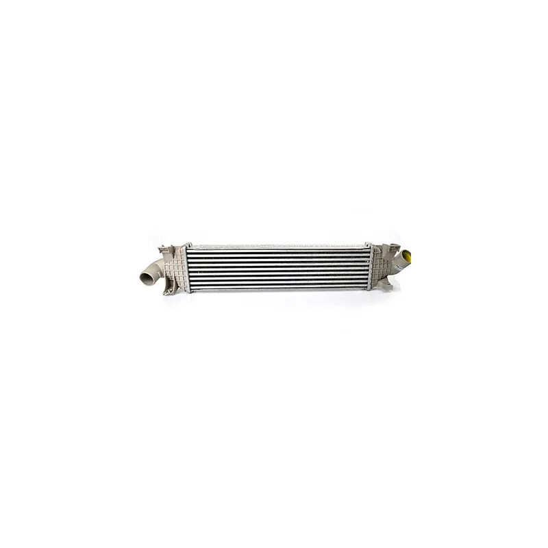 Intercooler, échangeur BSG BSG 30-535-003