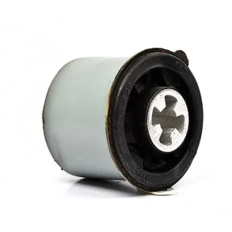 Suspension, corps de l'essieu BSG BSG 30-700-309