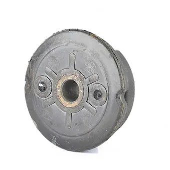 Coussinet de palier, ressort à lames BSG BSG 30-700-443