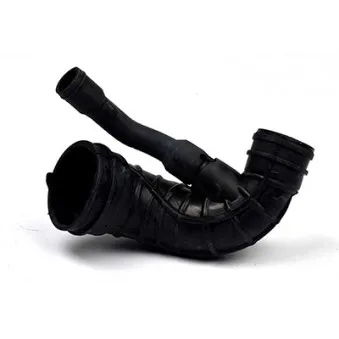 Gaine de suralimentation BSG BSG 30-720-045