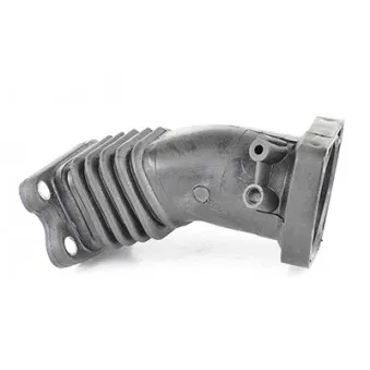 Gaine de suralimentation BSG BSG 30-720-065