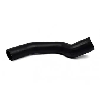 Tuyau d'aspiration, alimentation d'air BSG BSG 30-720-067