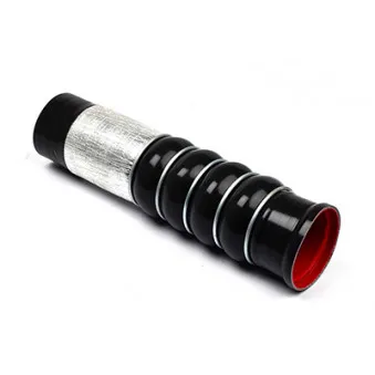 Gaine de suralimentation BSG BSG 30-720-070