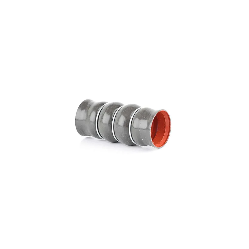 Gaine de suralimentation BSG BSG 30-720-094