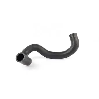 Durite de radiateur BSG BSG 30-720-164