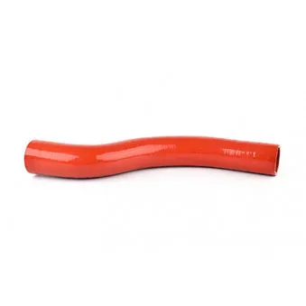Gaine de suralimentation BSG BSG 30-720-179