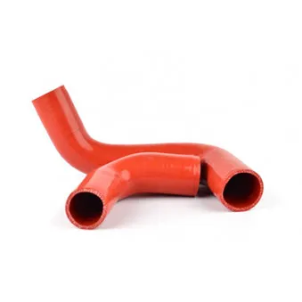 Gaine de suralimentation BSG BSG 30-720-181