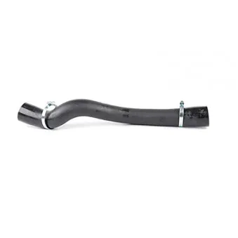Gaine de suralimentation BSG BSG 30-720-187