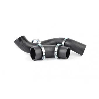 Gaine de suralimentation BSG BSG 30-720-189
