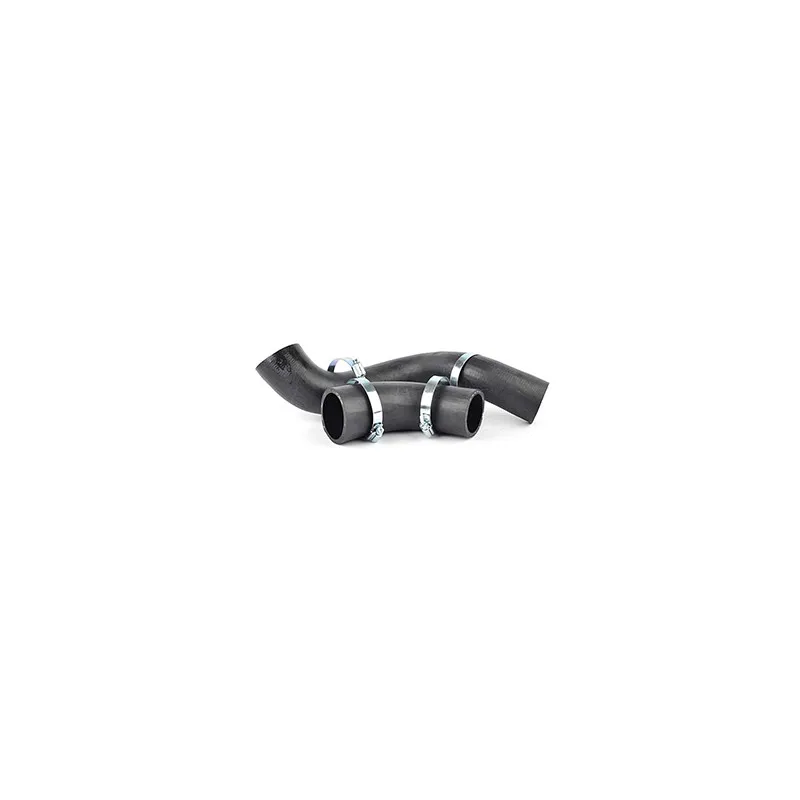 Gaine de suralimentation BSG BSG 30-720-189