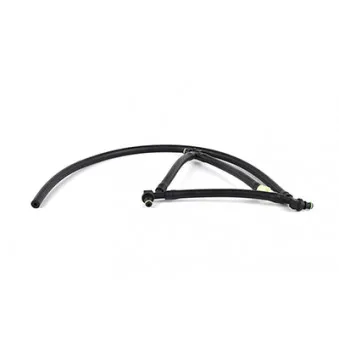 Tuyau, carburant de fuite BSG BSG 30-725-071