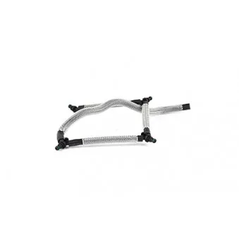Tuyau, carburant de fuite BSG BSG 30-725-076