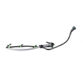 Tuyau, carburant de fuite BSG BSG 30-725-088
