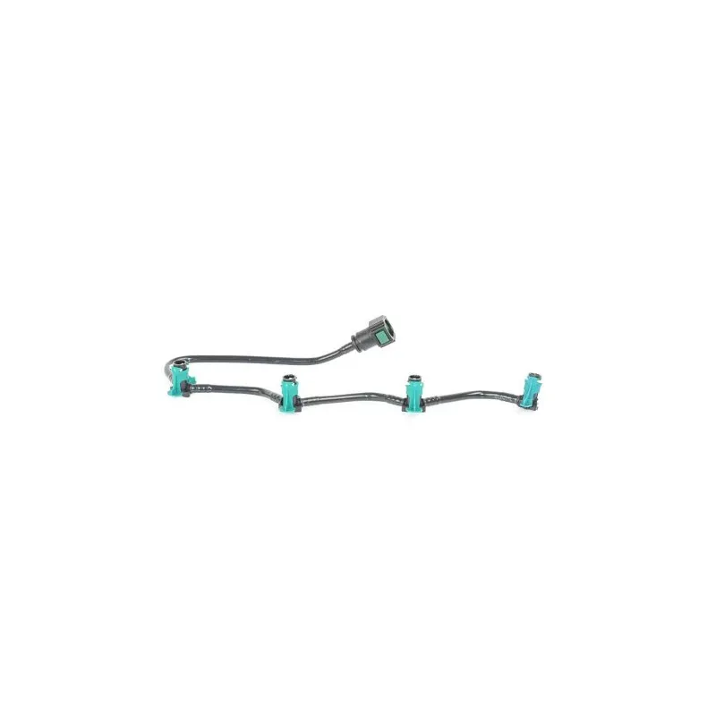 Tuyau, carburant de fuite BSG BSG 30-725-098