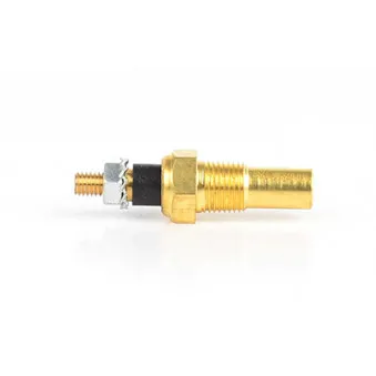 Sonde de température, liquide de refroidissement BSG BSG 30-840-034