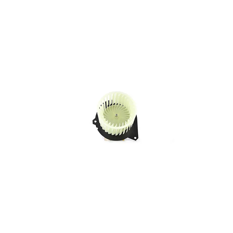 Pulseur d'air habitacle BSG BSG 30-845-002