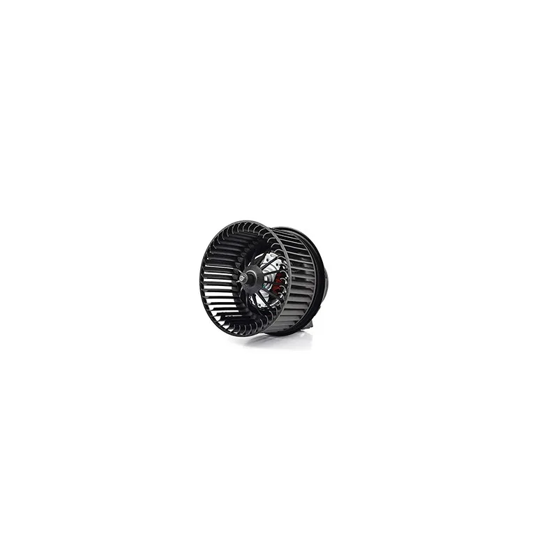 Pulseur d'air habitacle BSG BSG 30-845-004